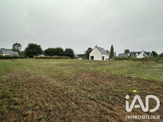Elliant Vente Terrain 29