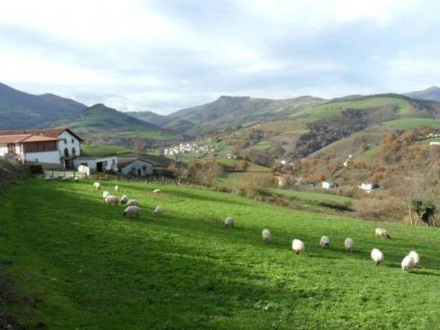 Eltson Etxea Donamaria Navarra