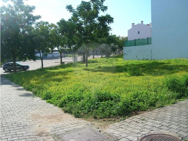 Elvas Elvas 97165333