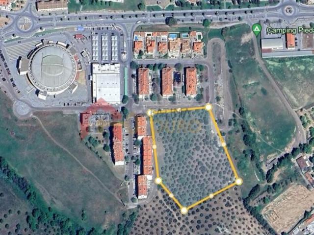 Elvas Elvas 103227546