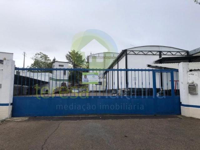 Elvas Elvas LS97122478