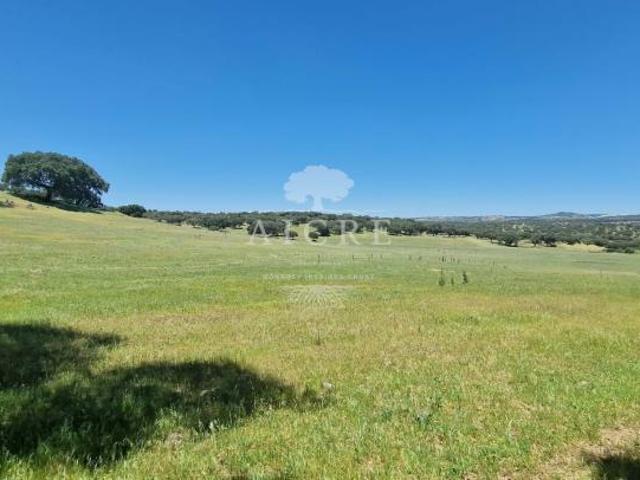 Elvas Portalegre LS91219318
