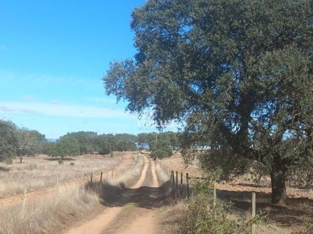 Elvas Portalegre LS95794146