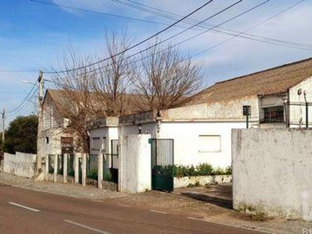 Elvas Portalegre 100540499
