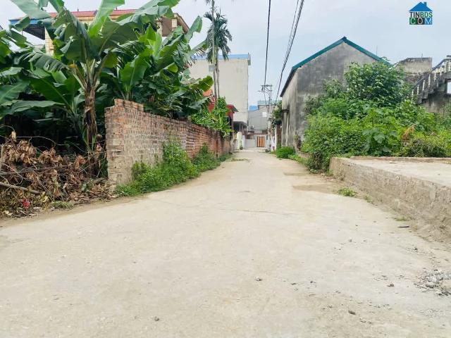 Em Quang Chính Chủ Bán 100M TT Quang Minh, Full Tc, Mt 4,3m Ô Tô Vào, Ngõ Thông Tứ Phía