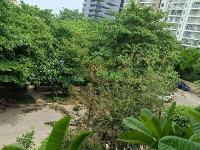 Emaar MGF Emerald Hills 4 Bedroom 350 Sq. Yd. Builder Floor in Sector 65 Gurgaon Listing ID: #10060