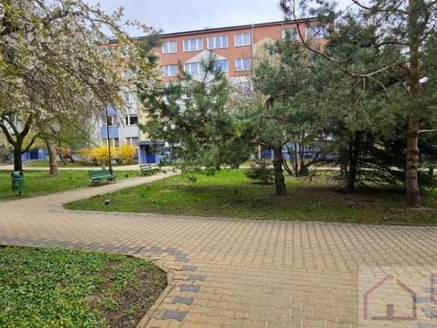 Emancypantek 62,20 m², Lublin