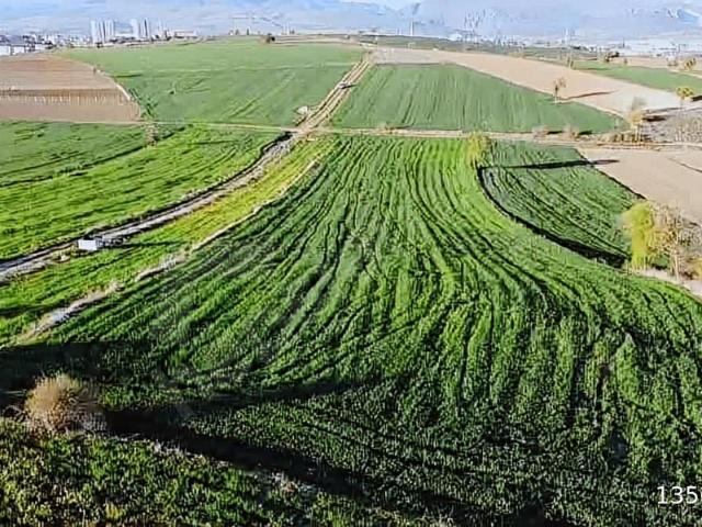 EMİNELLER GAYRİMENKUL ÜNÜVERSİTE ARKASI 7.78 dönüm tarla takasa