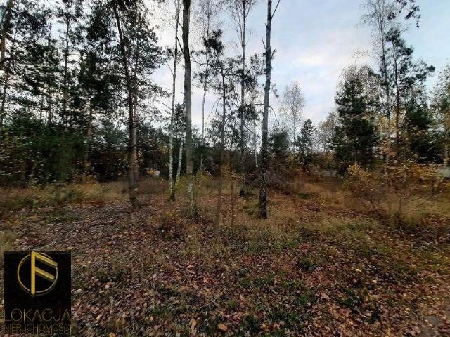 Działka budowlana 1600 m² z mediami w Emilianowie