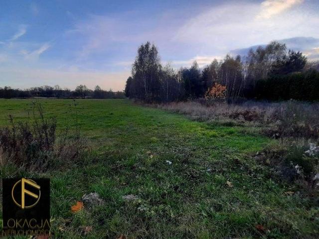 Działka budowlana 1200 m² z wodą i prądem w Emilianowie