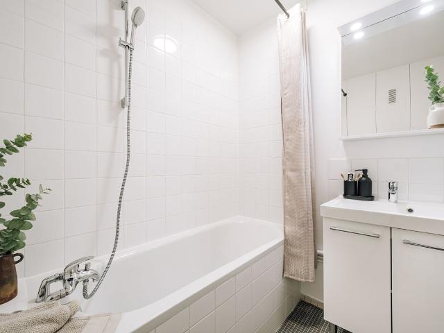 Emir 1 room in Vaugirard, Paris Amsterdam Apartments for Rent