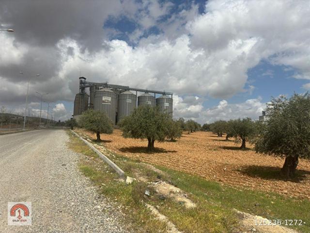 EMLAK DİYARINDAN NİZİP'TE SANAYİ ARAZİSİ 13.000 m2