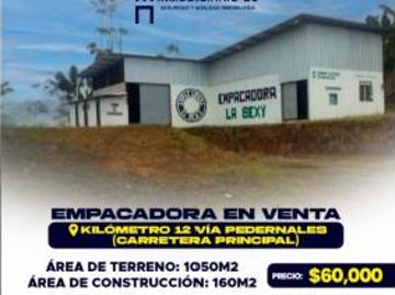 EMPACADORA EN VENTA EN EL KILOMETRO 12 VÍA PEDERNALES