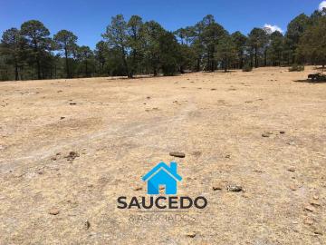 Empalme Purisima 5000 m2 en Venta