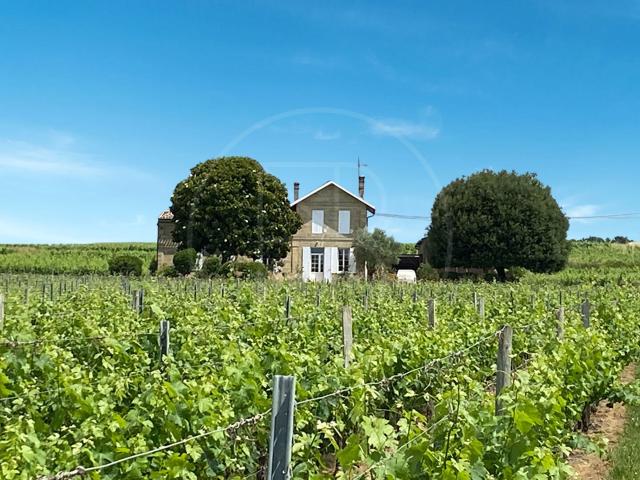 Emplacement exceptionel pour cette maison en pierre avec 4 h. 150m² Saint Emilion