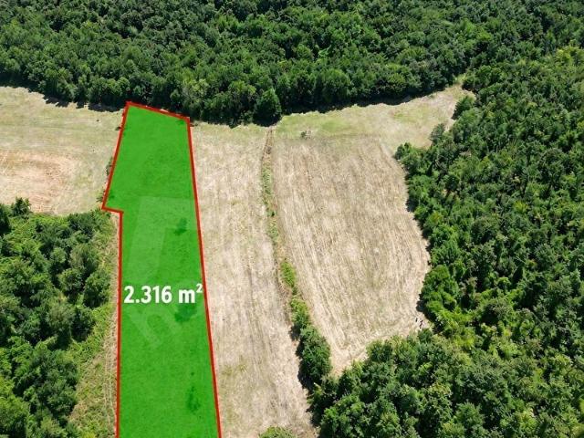 EMSA İNŞ. ÇATALCA HİSARBEYLİ'DE SATILIK 2.316 m YATIRIMLIK ARSA