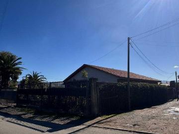 en TALCA