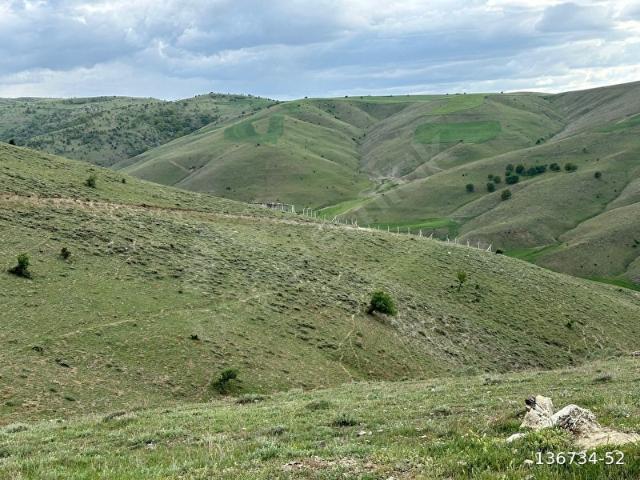 EN UCUZ FİYATA ESKİ 1230 PARSEL 250 M2 HİSSE HOBİ BAHÇELERİ MEVCUT YATIRIM İÇİNDE UYGUNDUR