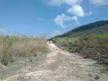 En Venta 12 Ha. Lado Poniente de la Col. Ampliacion Plan de Ayala