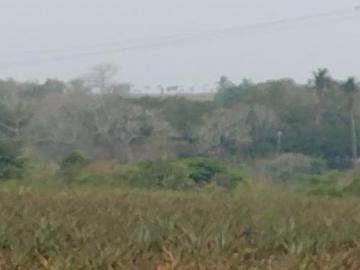 EN VENTA 17 HECTAREAS ROBLES ORILLA DE CARRETERA