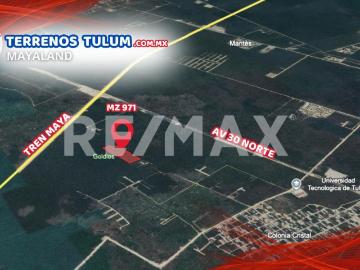 En venta 20,000 m2 en region 11 de Tulum