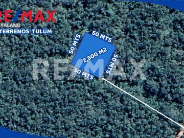 En venta 2,500 m2 en francisco hu may a 750 mts de la Ctra coba tulum