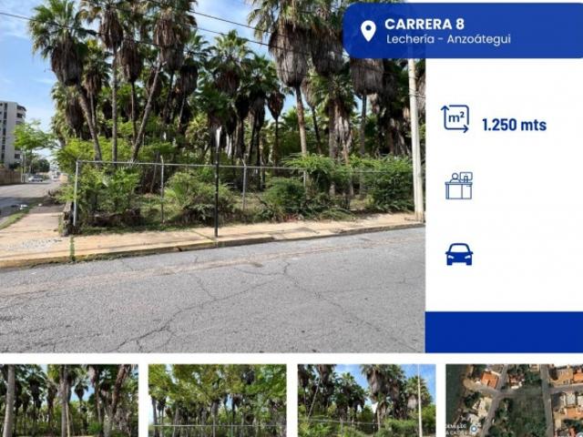 EN VENTA TERRENO CARRERA 8 DE LECHERIA VE03 09172CC JLEZ