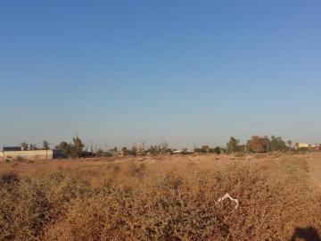 EN VENTA TERRENO DE 10, 000 M2, MEXICALI, EN VIRREYES