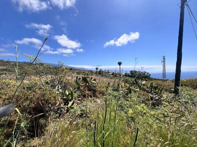 En venta terreno de 24.014 m² ubicado en Tagoro