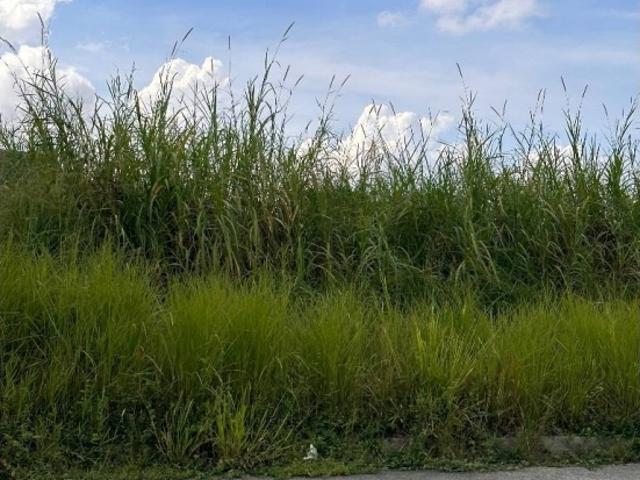 En venta terreno en Naguanagua MB