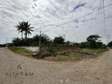 EN VENTA! TERRENO EN CARRETERA TAMPICO VALLES, PANUCO VERACRUZ
