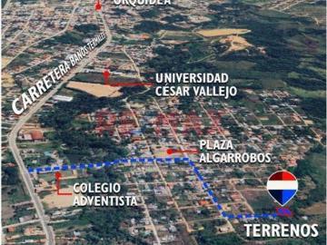 En Venta: ¡Terreno En El Sector Algarrobo!
