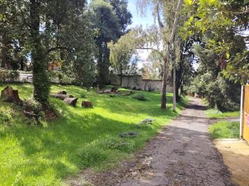 EN VENTA: Terreno plano de 500 m? en el bosque de Huitzilac
