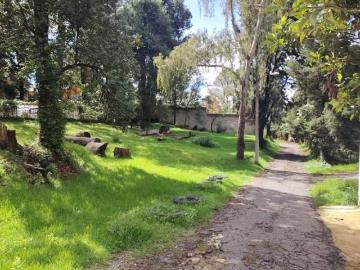 EN VENTA: Terreno plano de 500 m² en el bosque de Huitzilac