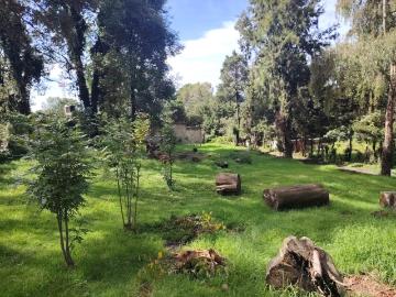 EN VENTA: Terreno plano de 500 m? en el bosque de Huitzilac