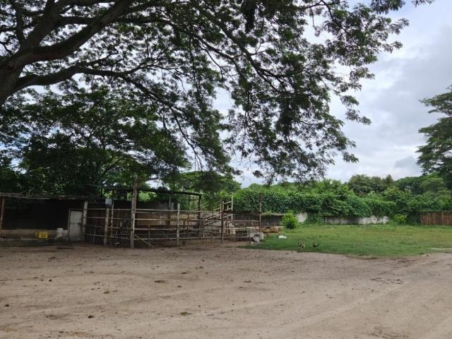 En Venta Terreno Ubicado en la Av. Aragua a Nivel de Avenida. Mcy