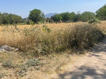 En venta terreno 3000 m2 en San Juan del Río Qro