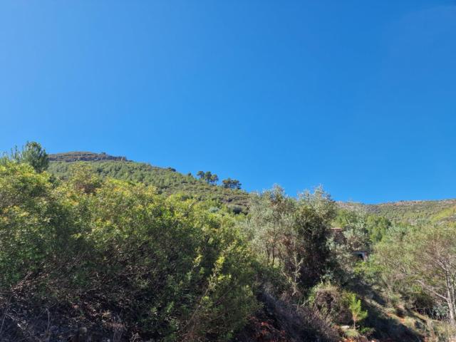 ► En Venta Un terreno rústico en Lliber, valle de Jalón, a. m² Lliber