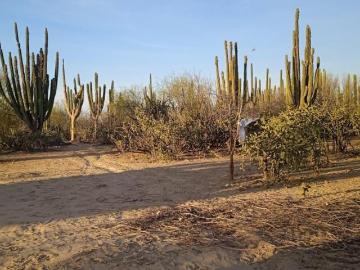 En venta a 300 metros de la carretera cerca del entronque del sargento y la vent
