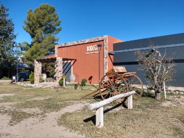 En Venta Bodega, Finca, 2 casas y 2 Cabañas en 8.5 Hectáreas, San Rafael, Mza
