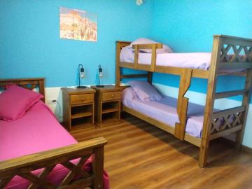 En Venta Bodega, Finca, 2 casas y 2 Cabañas en 8.5 Hectáreas, San Rafael, Mza