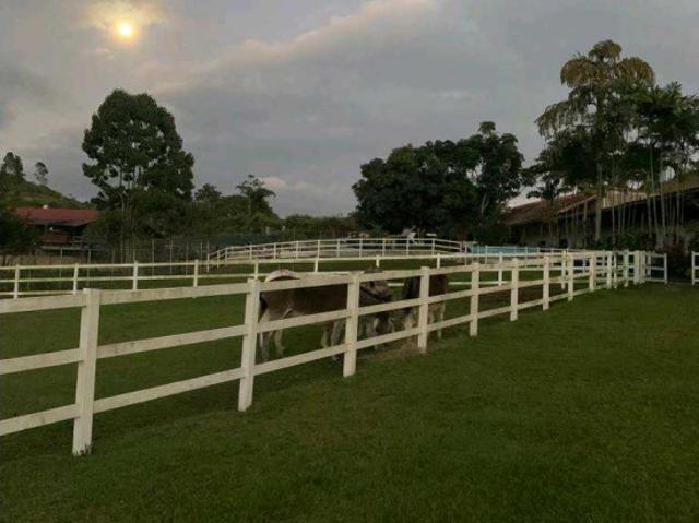 Vendo terreno c/ casa 15.000m2 Tejerias 3618