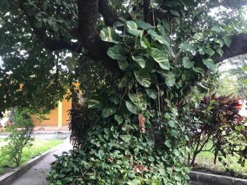 En venta Casa grande en La Col Campestre al poniente de la ciudad y puerto de Veracruz