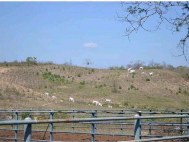 En Venta Extensa Finca Ganadera de 581 hctas con Lagunas en Tinaquillo