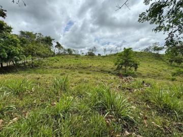 En venta finca de 4.5 hectáreas en Santa Rosa Bugaba, Chiriquí