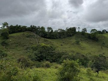 En venta finca de 15.6 hectáreas en Tierras Altas