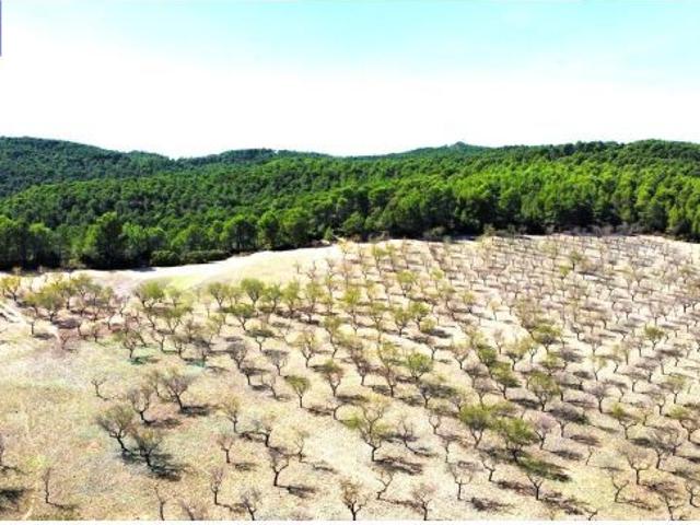 EN VENTA FINCA DE PASTOS EN YATOVA