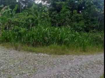 En Venta Finca en el sector del cantón Cascales