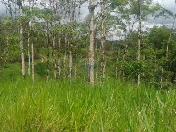 En venta finca ganadera sector los bancos 110 ha
