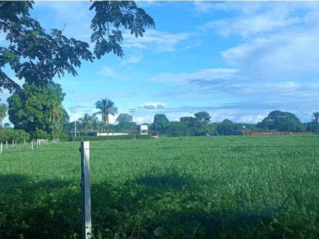 En VENTA Finca productiva Municipio PEDRAZA Barinas